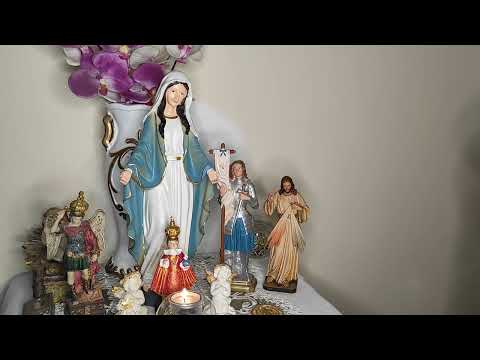 Messaggio datoci da San Vincenzo Ferreri. 25 gennaio 2023