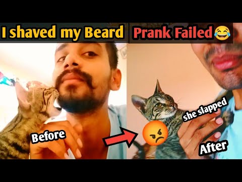 I saved my beard | My Cat epic reaction 😱|| 😸 I pranked on my cat🤭😂