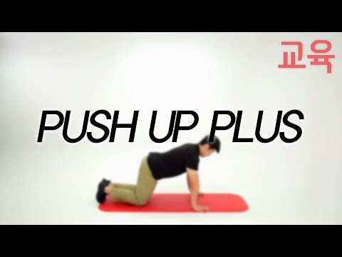 [건정공] Push up plus 교육ㅣ허리디스크  운동영상 홈트레이닝 뱃살 복근운동 힙업 건강 다이어트