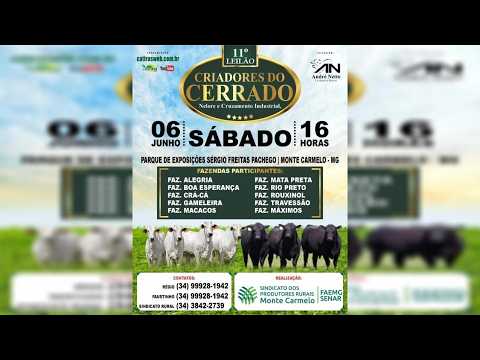 11º LEILÃO CRIADORES DO CERRADO - SINDICATO RURAL DE MONTE CARMELO - MG -  06 DE JUNHO DE 2026.