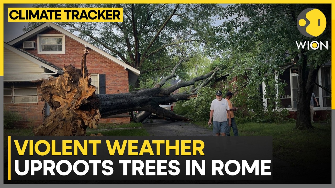 Rome Storm: Massive Storm Batters Rome, Trees Crushed As Chaos Unfolds| WION Climate Tracker