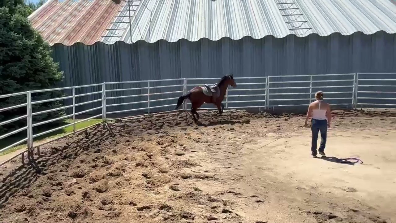 Mama Mia's High Octane — Video 2