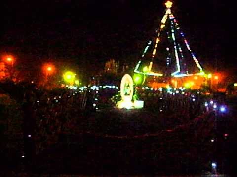 Foggia, mega albero di Natale in zona Sant'Anna