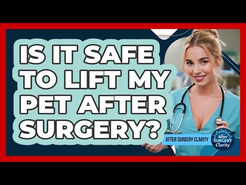 Is It Safe To Lift My Pet After Surgery? - After Surgery Clarity
