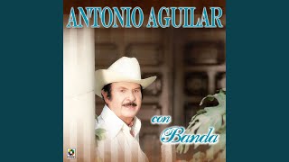 Árboles De La Barranca