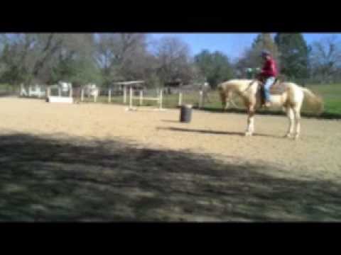 Chewing on the bit, how to solve this problem with Mike Hughes, Auburn California