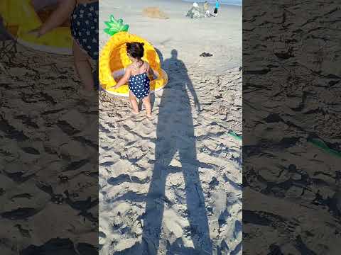 baby tiger at beach #baby #funnyvideo #babytiger #cool #funny #beach #beachlife