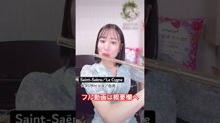 Download lagu C.Saint-Saëns/Le cygne（サン=サーンス：白鳥） mp3