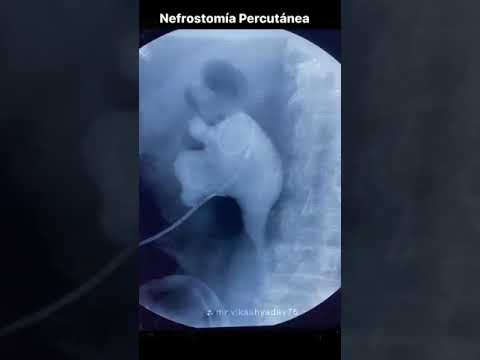 Eduardo Beato Estrada-13