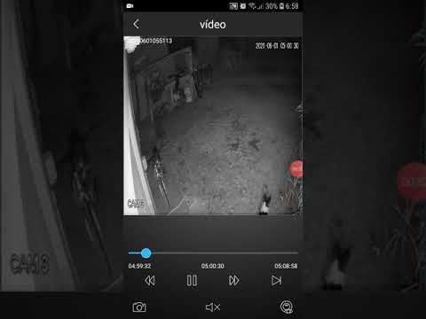 Robo filmado en Ameghino 1