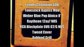 Fender Champion 600 - Tonestack Mod, Weber Blue Pup Alnico 8