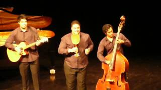 Sol3 Mio Yellow Bird