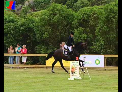 LATIMAR by LARIMAR x Cor de la Bryere, 5 Year Old Stallion from HOLSTEIN