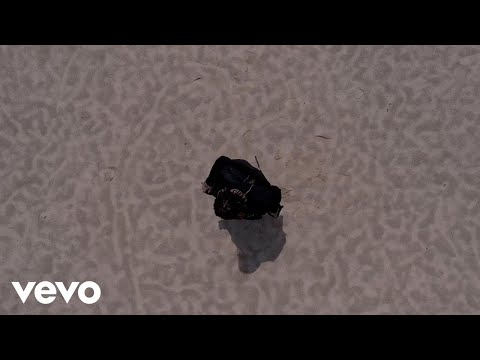 TheNeighborsKnow. - Don't Even Matter (Official Music Video)