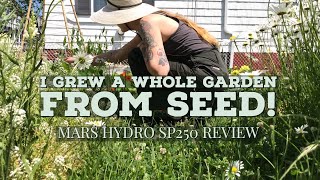 How I Started a Whole Garden with Mars Hydro’s SP250 LED Grow Light