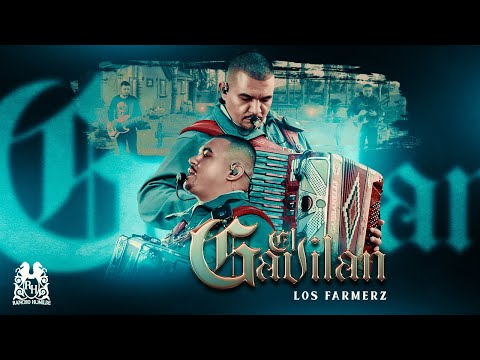 Miniatura de El Gavilan