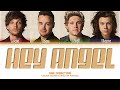 One Direction 'Hey Angel' Lyrics (Color Coded Lyrics)