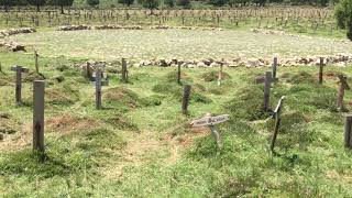 Sad Hill Cemetery, 2019