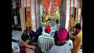 shakti Mandir Hsp Live Stream
