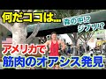 【大発見】アメリカでとんでもないゴールドジムを発見した。ジム?森?オアシス?ジブリの世界のような謎だらけのジムを筋肉取材&筋肉を追い込みまくれ!!