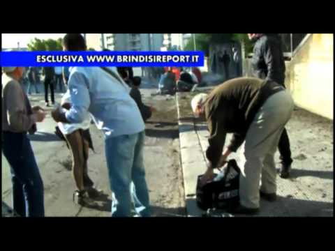Brindisi report ghepardo Brindisi report ghepardo