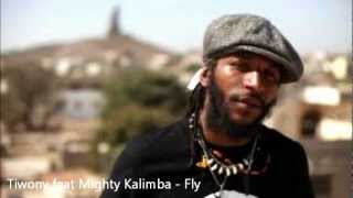 Tiwony feat Mighty Kalimba - Fly