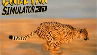 Wildlife Cheetah Attack Simulator 3D videosu