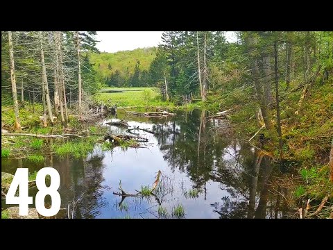 Appalachian Trail Thru Hike Episode 48 - Vermud