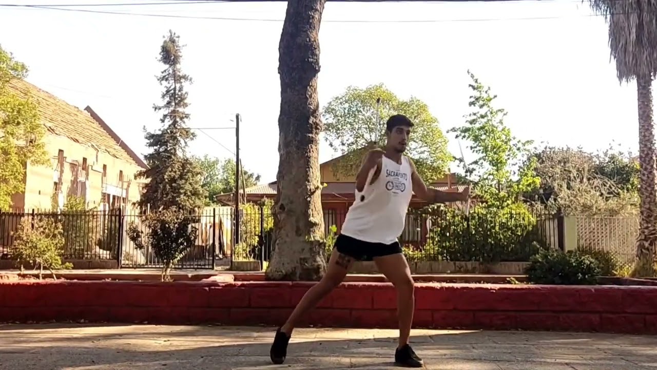 Cristian Rodriguez | Chile