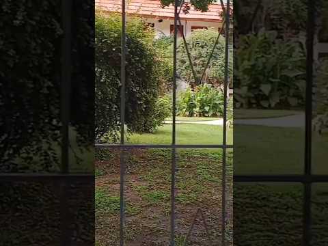 Hacia el Puente del río Panaholma en Mina Clavero, Traslasierras, Córdoba Argentina #minaclavero
