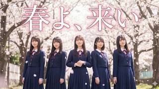 Cover art for 春よ、来い