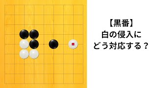 【9路】白の侵入への対応は？｜囲碁クエスト実況解説｜黒番｜高目