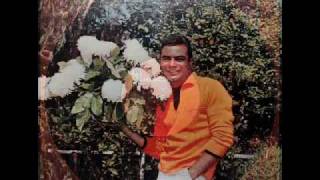 Johnny Mathis: Somewhere My Love (Jarre, 1966)