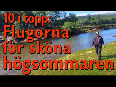 Top 10 mest sålda flugorna under högsommaren
