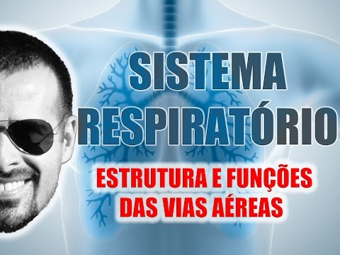 Respiratory System - General structure and functions of the airways - Human Anatomy - Video Lesso...