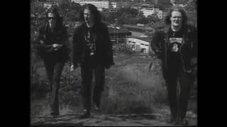 UNLEASHED - The One Insane