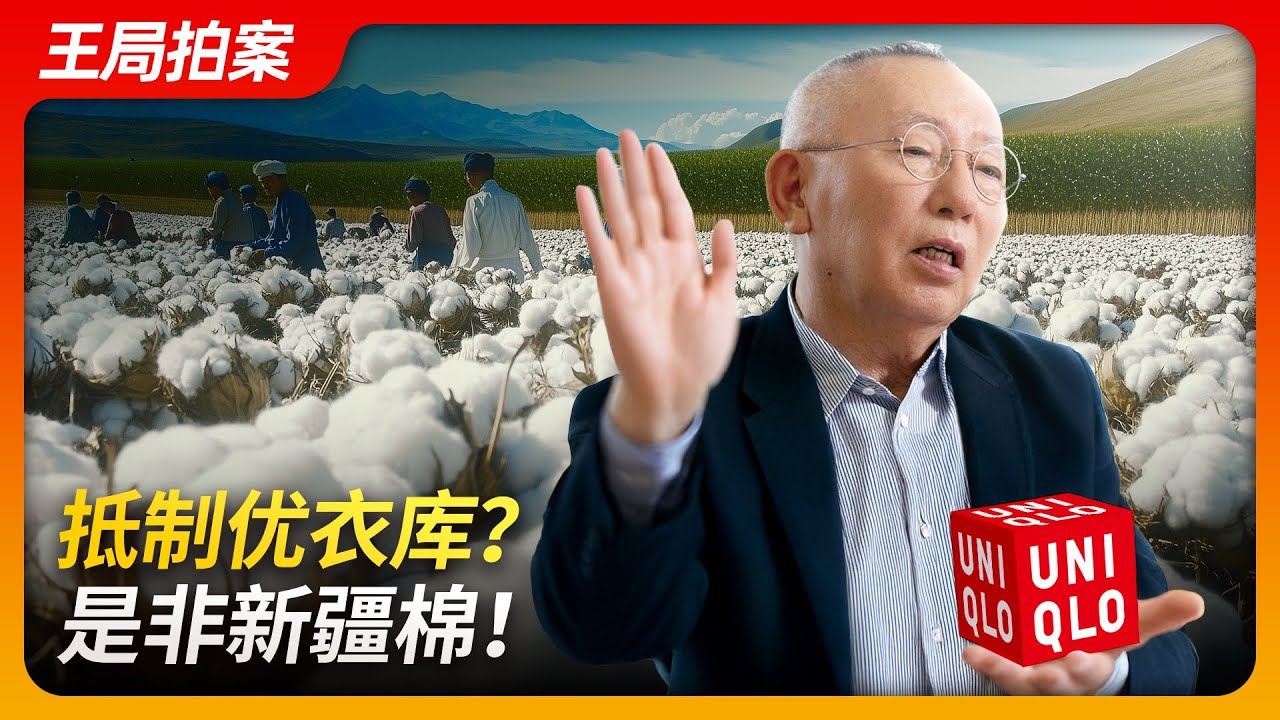 抵制优衣库，是非新疆棉。｜优衣库｜柳井正｜新疆棉｜BBC｜防止强迫维吾尔人劳动法｜新疆学习营｜王局拍案20241203
