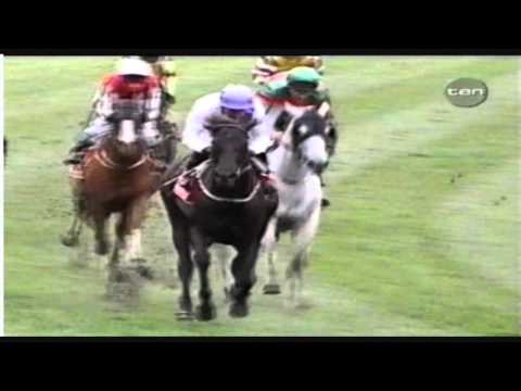 1999 TEN Sports Tonight _ Emirates Stakes Day Racing Highlights