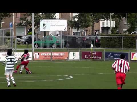 Samenvatting SHH C1 - Rood Wit C1 S1314 3-3