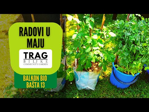 RADOVI U MAJU - BALKON BIOBAŠTA 13 (2022) [TRAG BILJKE]