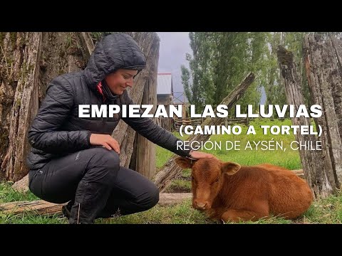 EMPIEZAN LAS LLUVIAS (CAMINO A TORTEL) - RUTA 7 | #96 REGIÓN DE AYSÉN