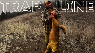 THE TRAPLINE: Giant Maine Coyote : Episode 6