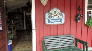 preview picture of video 'Deer Lake Orchard - Buffalo, MN'