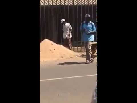 Only in Africa