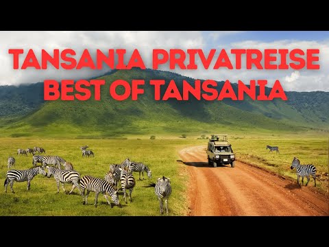 Tanzania Private Safari 🤯 Serengeti NP | Ngorongoro | Tarangire NP | Mkomazi NP | Tips and Info