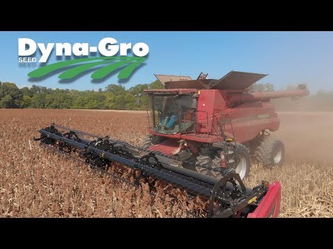 Williams Brothers Farm - Dyna-Gro M74GB17 (4K)