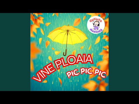 Vine ploaia, Pic Pic Pic