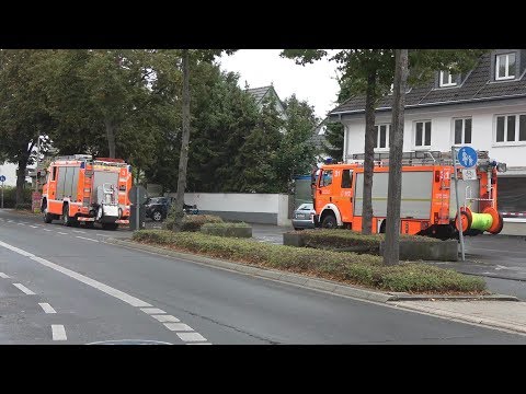 Mehrere gemeldete Ölspuren fordern Feuerwehr Bonn in Bad Godesberg am 26.09.19