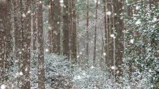 Evergreen - Faithless