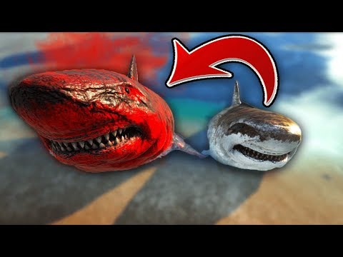 ALPHA vs NORMAL - How Do They Compare? [Megalodon]